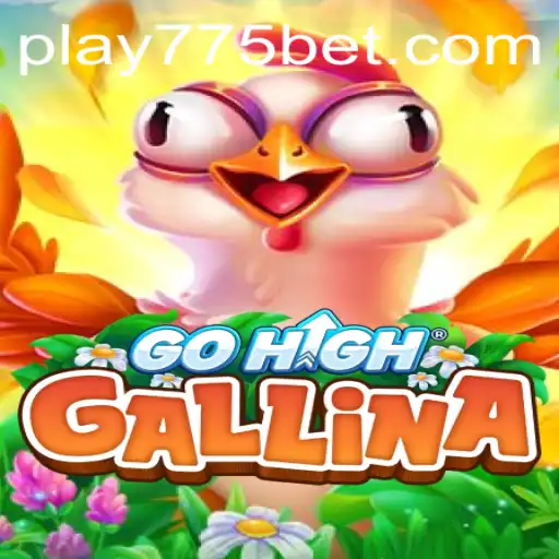 Discover GoHighGallina: The Thrilling New Game and the Exciting 775 Bet